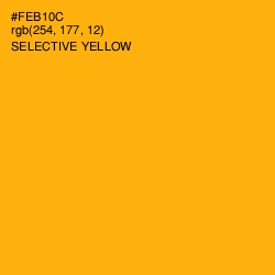 #FEB10C - Selective Yellow Color Image